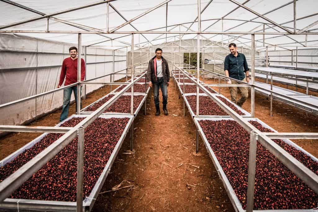 Yunnan Coffee Traders team